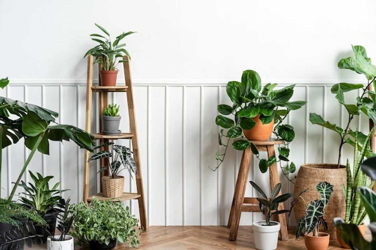 modern flat interior golden pothos plant corner air cleaning
