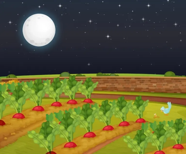 moon phases gardening effect vegetables
