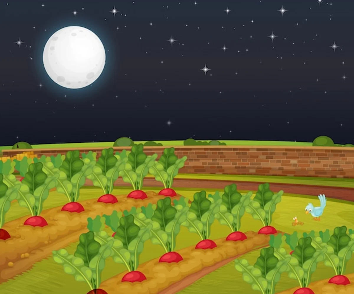 moon phases gardening effect vegetables