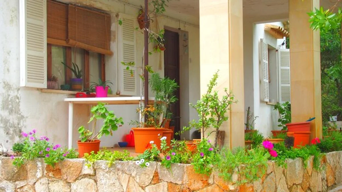 vertical garden with basil and kitchen herbs in German apartment