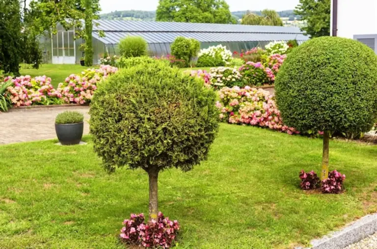 modern garden without borders germany nature landscaping ideas