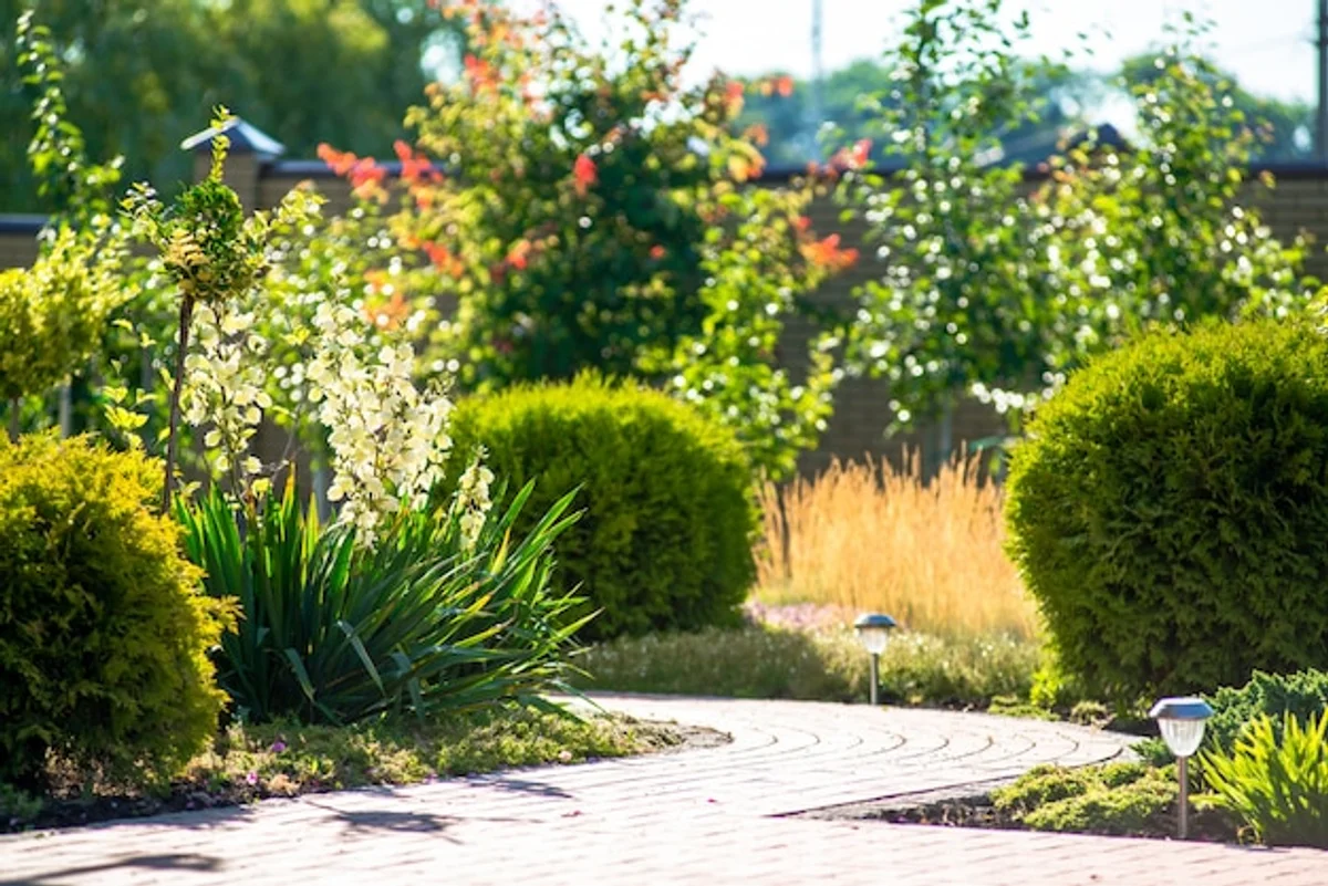 modern garden without borders, german style, natural landscaping
