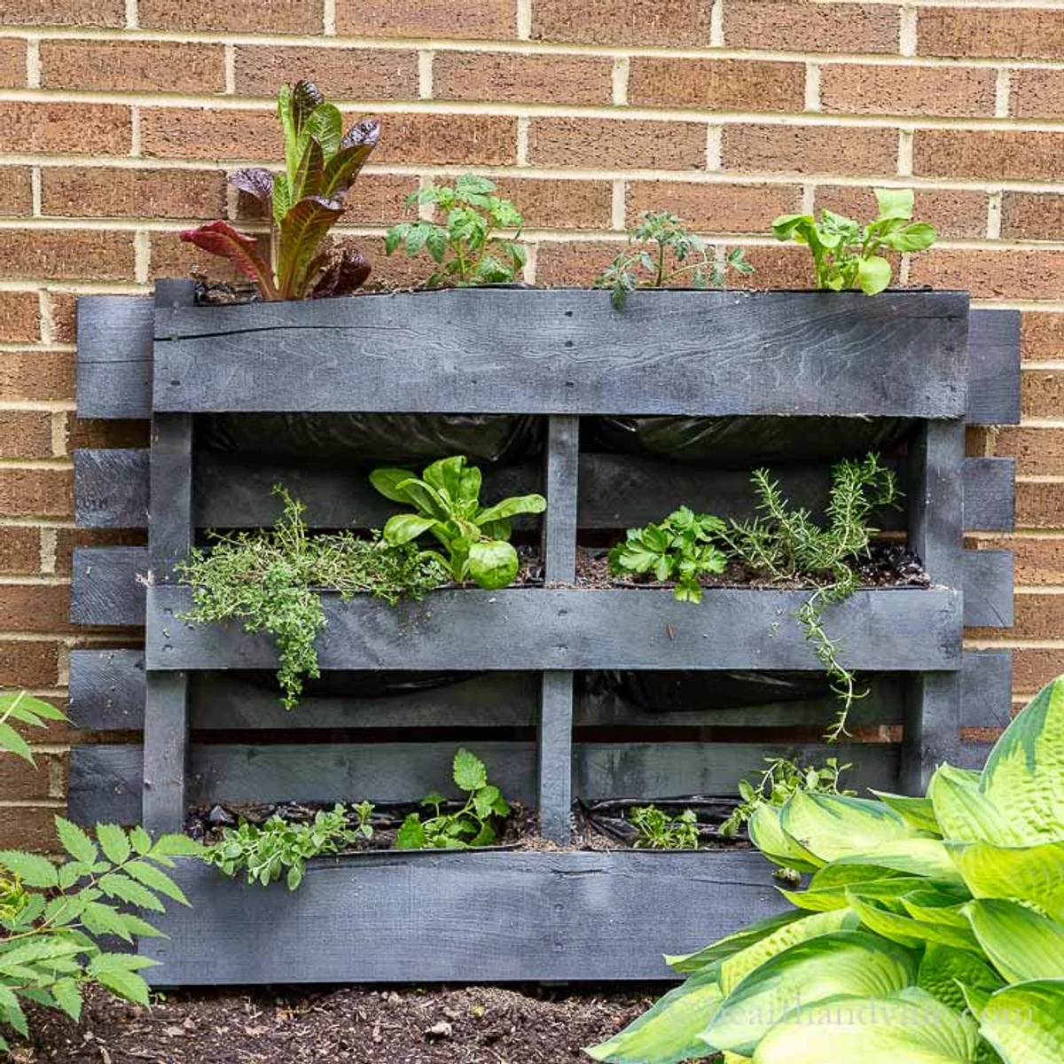 DIY vertical herb wall made from recycled pallets Germany