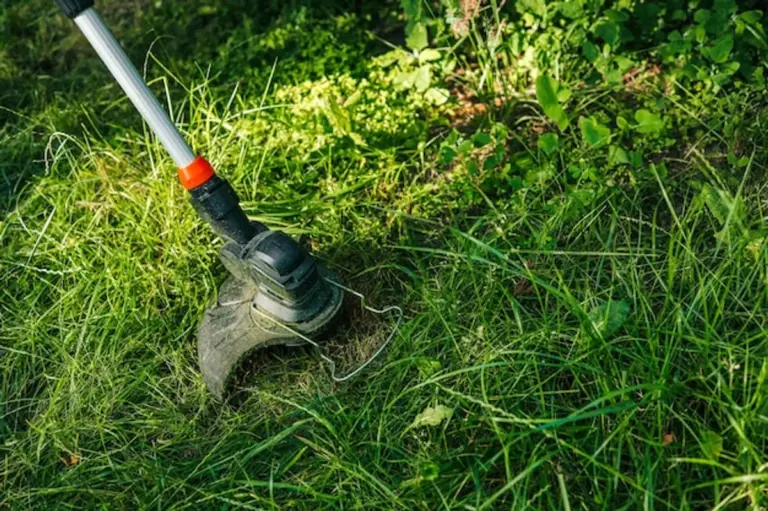 cleaning and maintaining garden shovel close up
