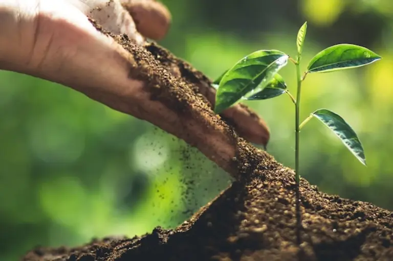 eco friendly garden seeds sustainable gardening macro