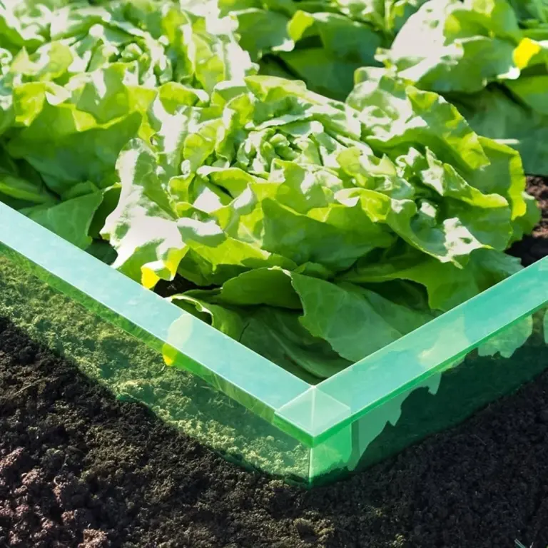 eco gardening snail prevention salad bed Germany