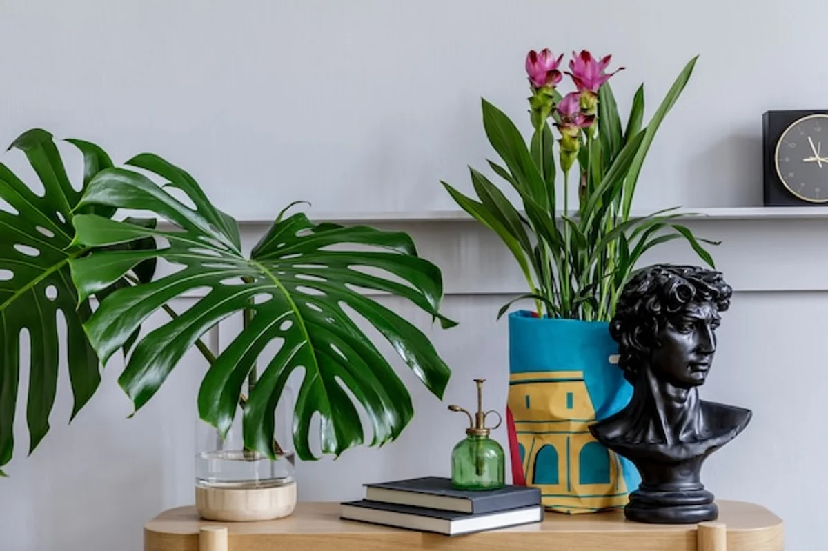 trendy monstera deliciosa home decor living room