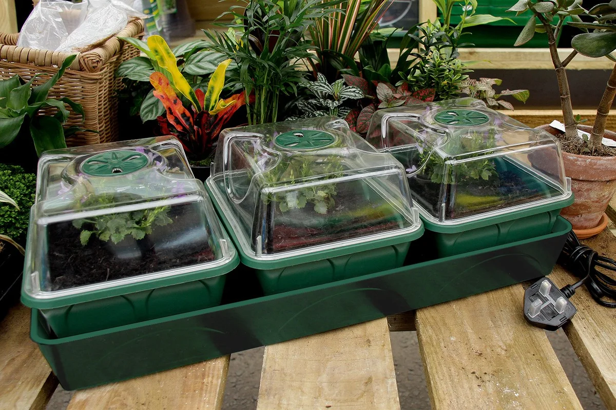 seed tray window sill temperature monitoring indoor gardening