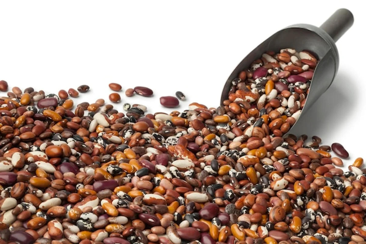 heirloom bio vegetable seeds variety