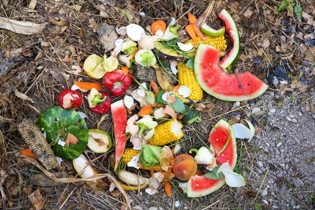 banana peel fertilizer garden