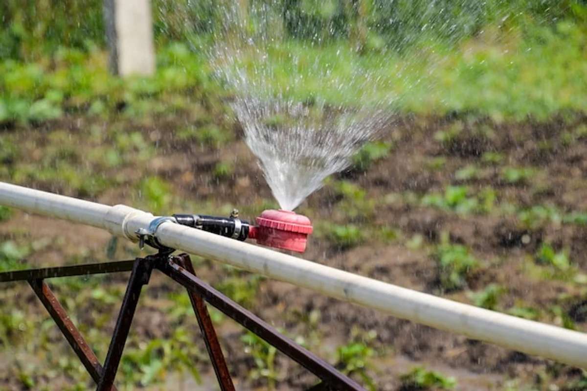 lawn irrigation close up water saving technique