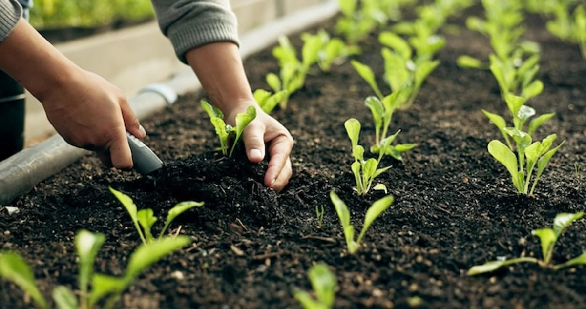 organic fertilizer gardening Germany