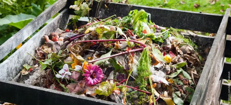 composting kitchen waste harvest increase garden germany
