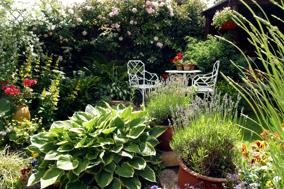 cozy urban patio with dwarf plants Germany