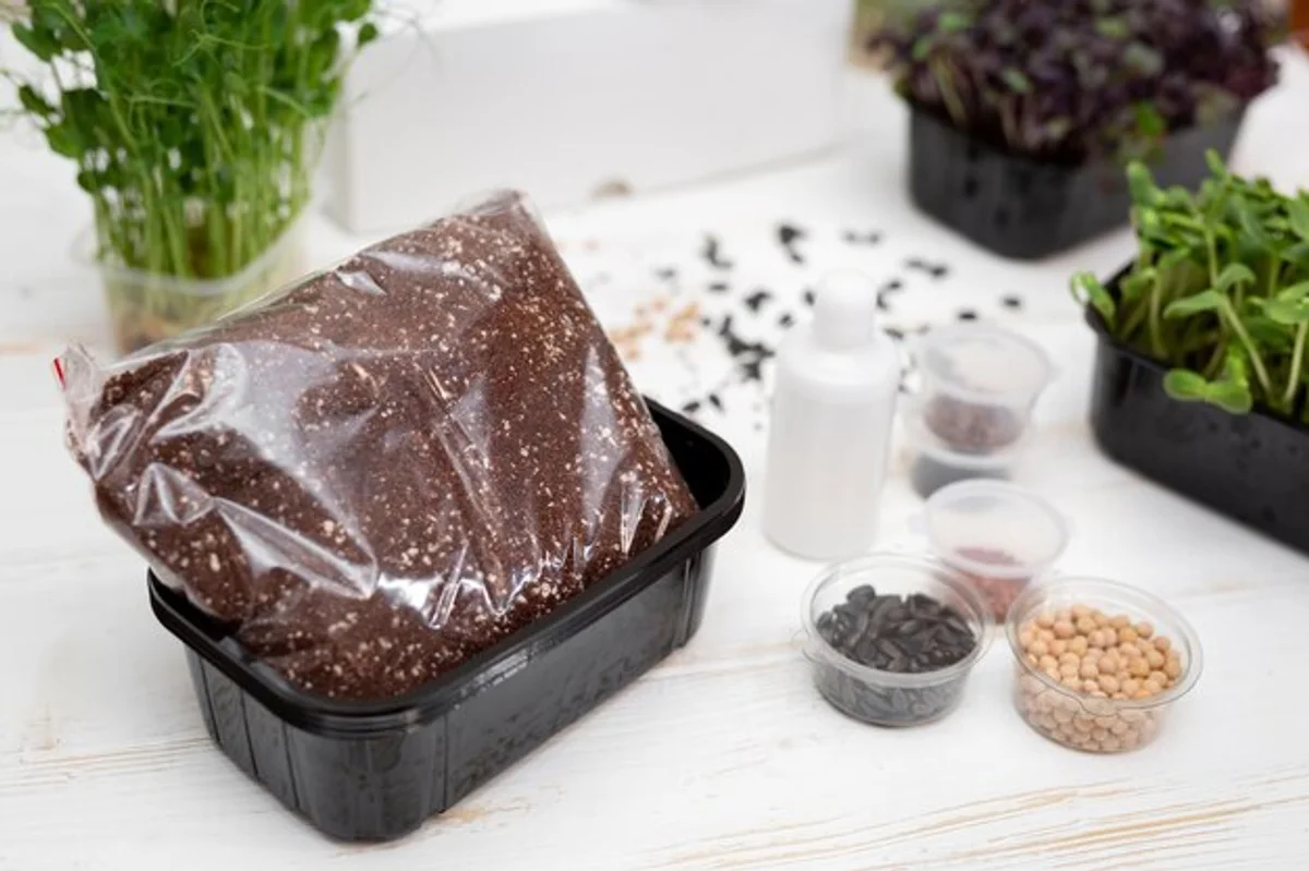 urban gardening bio seeds diversity