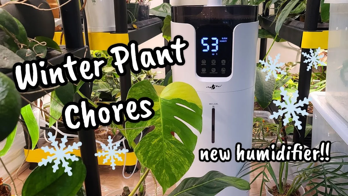 urban jungle plant care spray humidifier winter