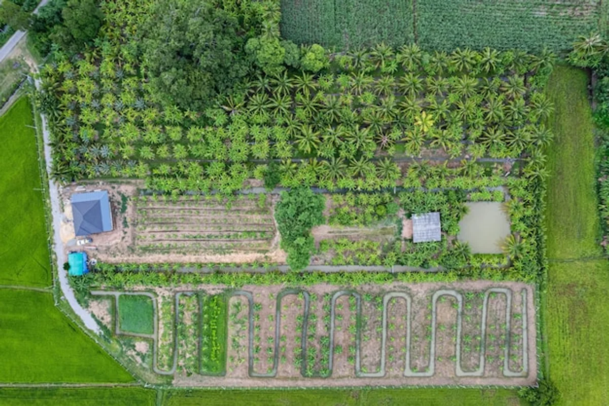 mixed lawn with herbs aerial view