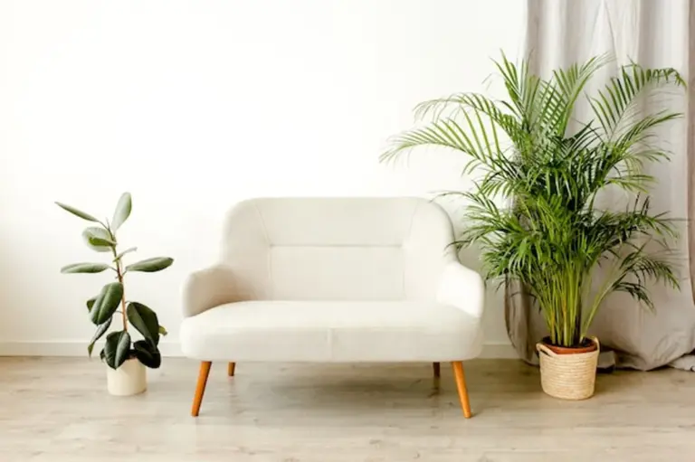 succulent and palm plants together modern interior