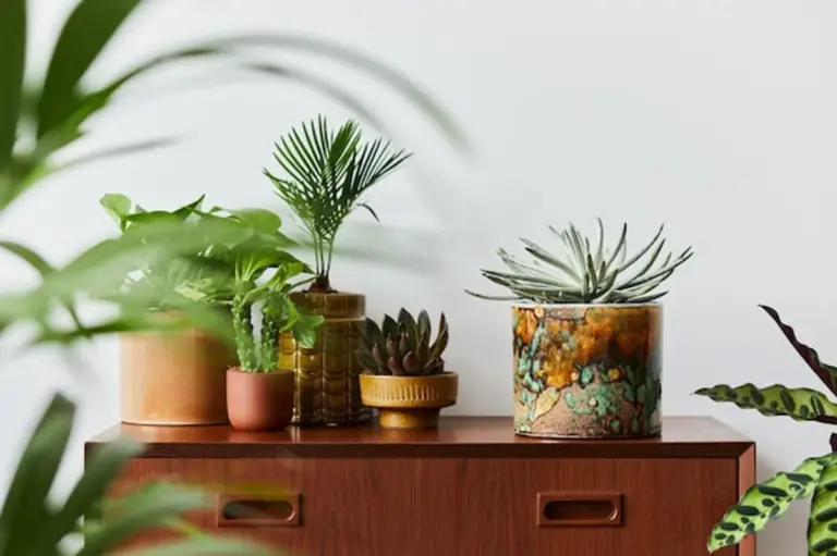 simple greenhouse ventilation tips
