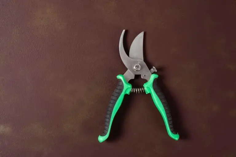 old garden shears sharpening before after closeup