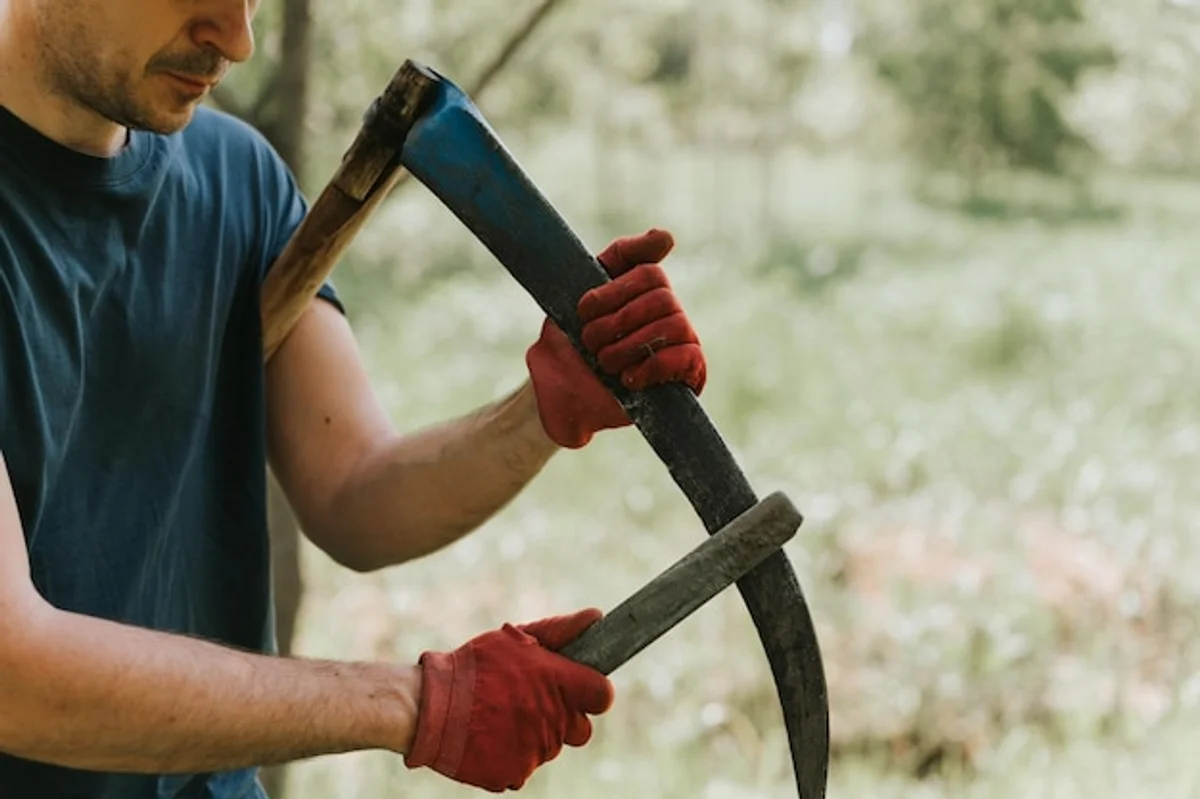 old garden shears sharpening by hand closeup