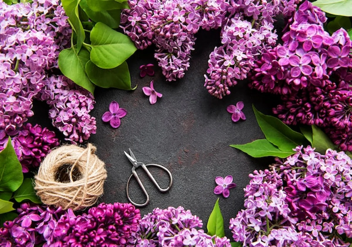 restored garden shears on wooden table floral background