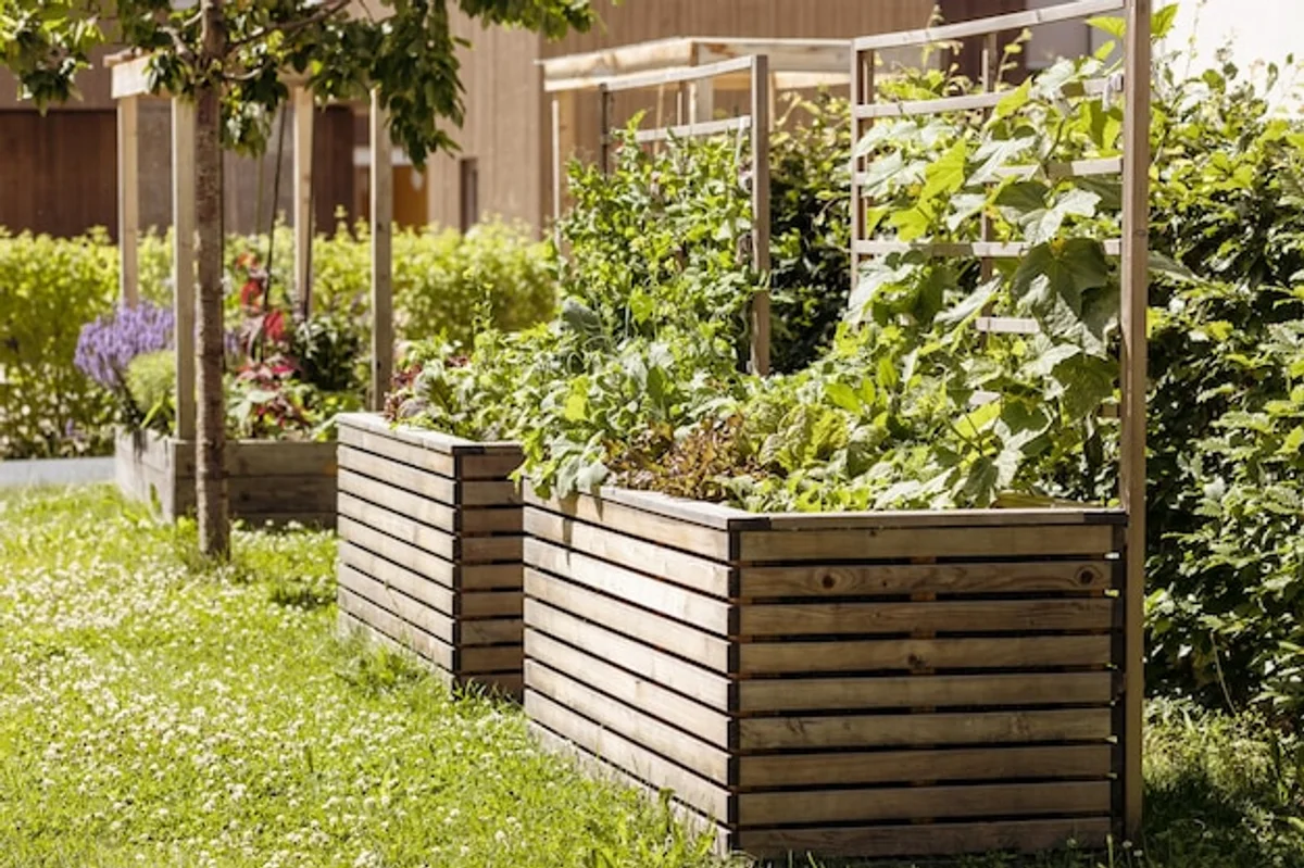 turf sod vegetable bed DIY garden