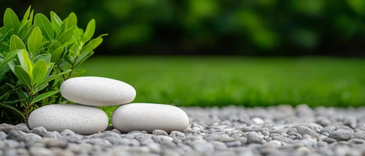 feng shui garden energy harmony