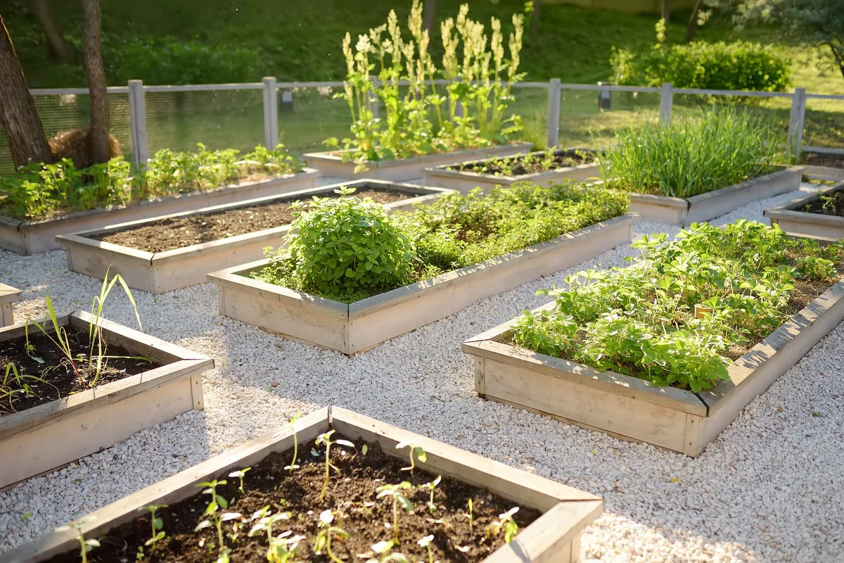 practical garden feng shui layout vegetable bed