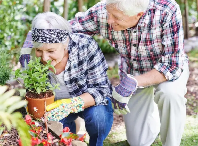 elderly people planting flowers eco gardening