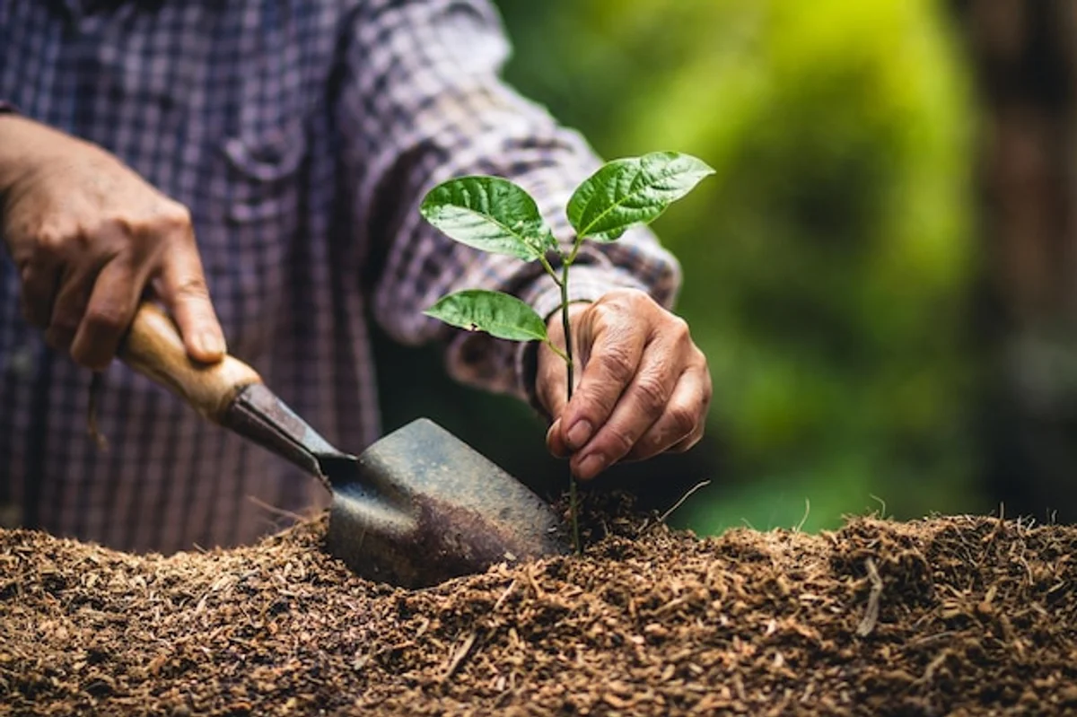 senior gardening natural fertilizer hands close up