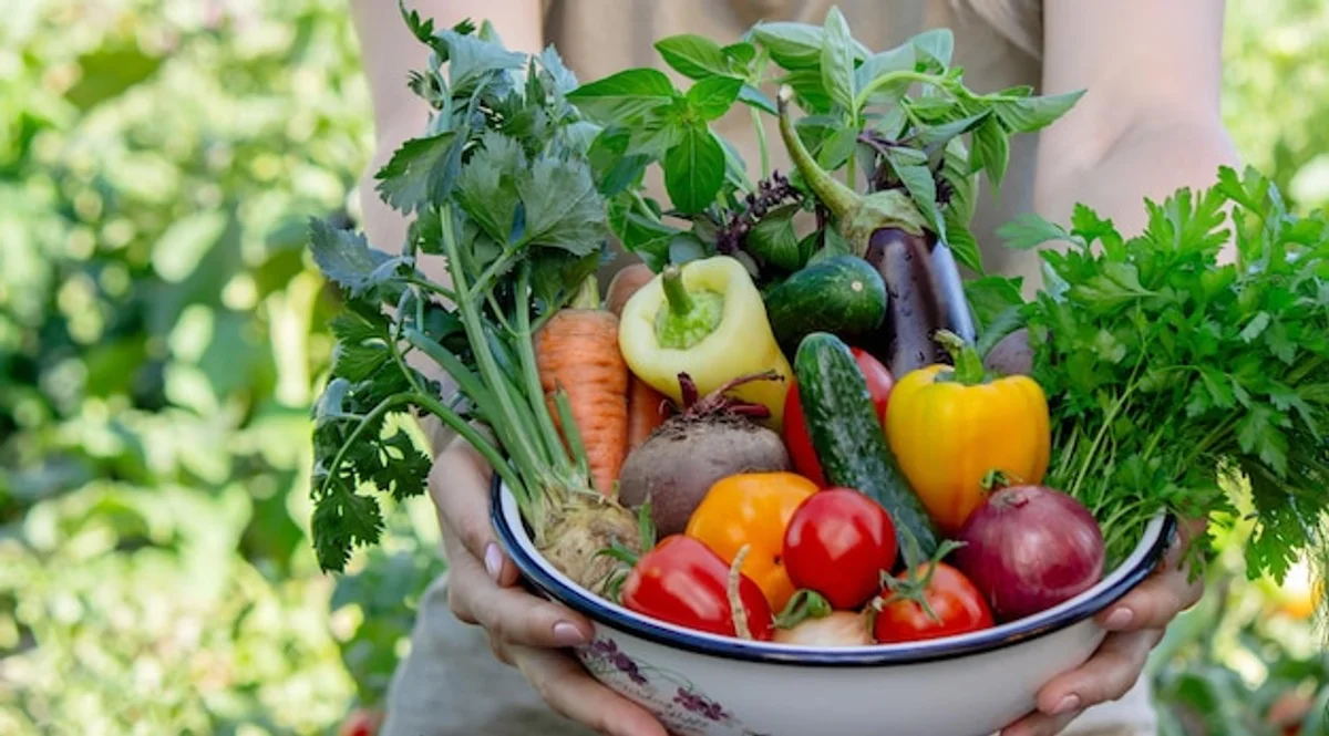 organic vs conventional vegetables from home garden, tasting, hands holding vegetables