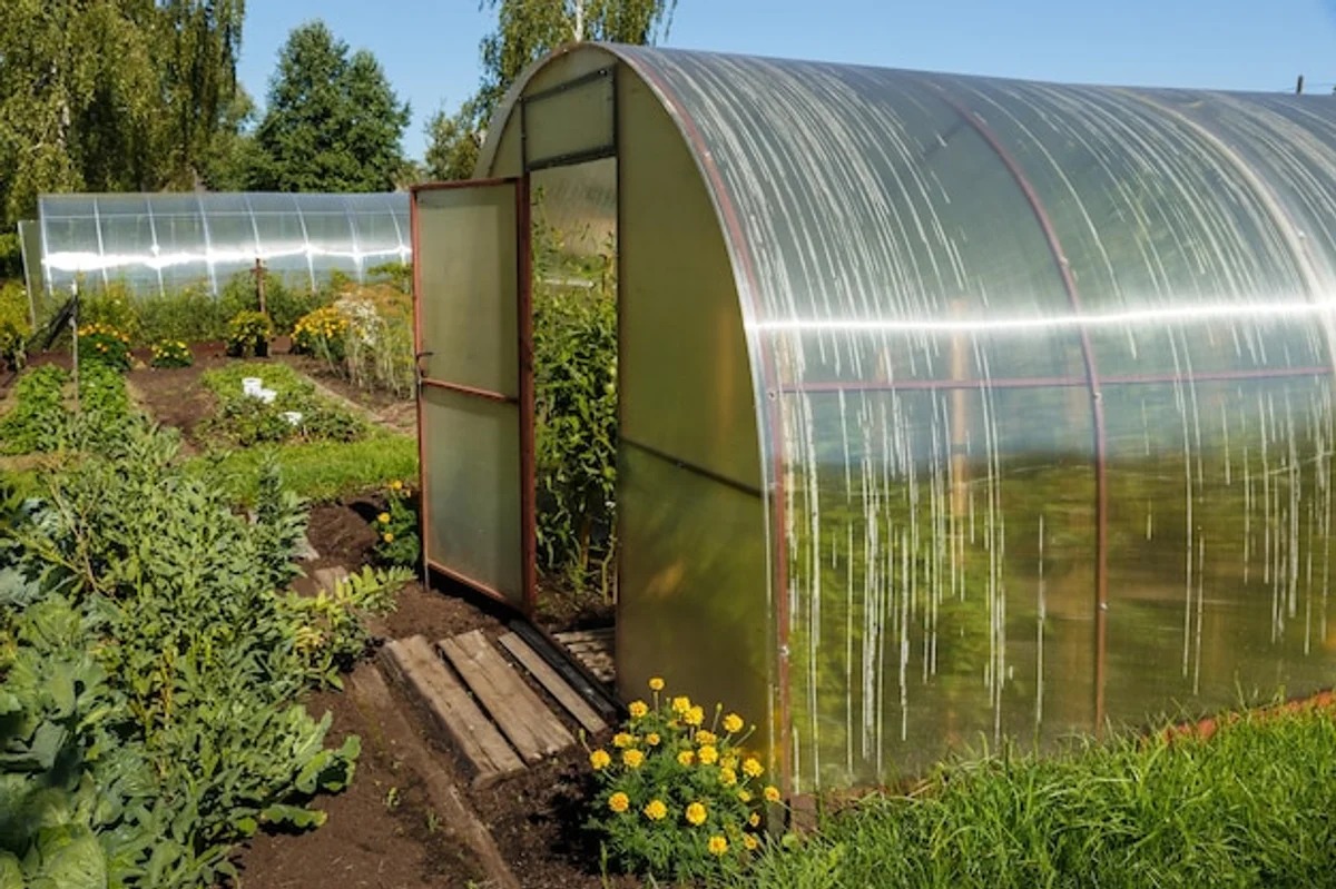 polycarbonate greenhouse Germany