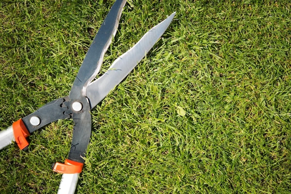 removing grass clippings from lawnmower blade detail