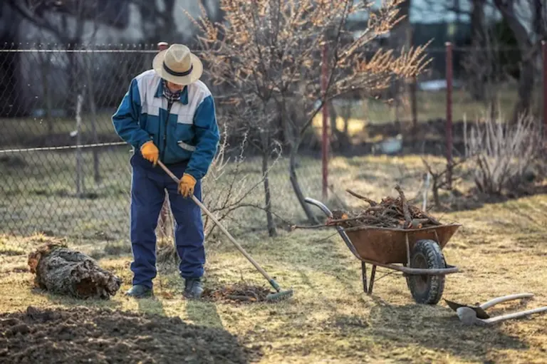 elderly gardening low maintenance fruit trees