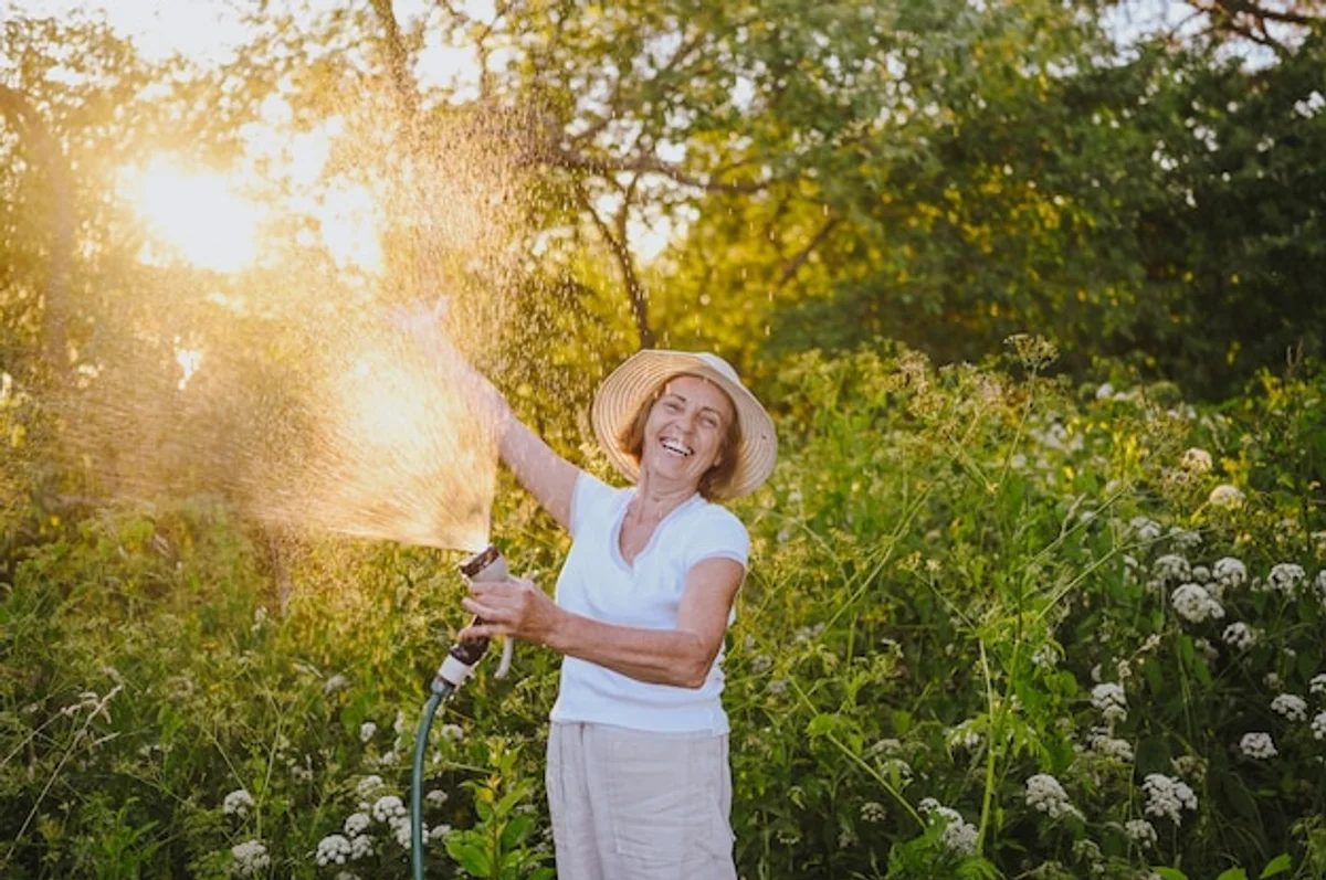 senior watering lawn with hose in summer
