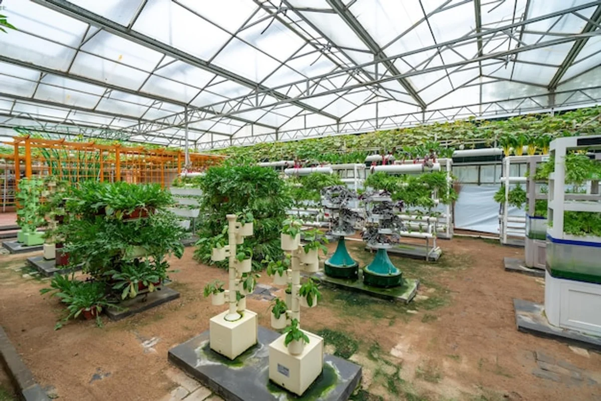 fresh air circulation in greenhouse interior plants