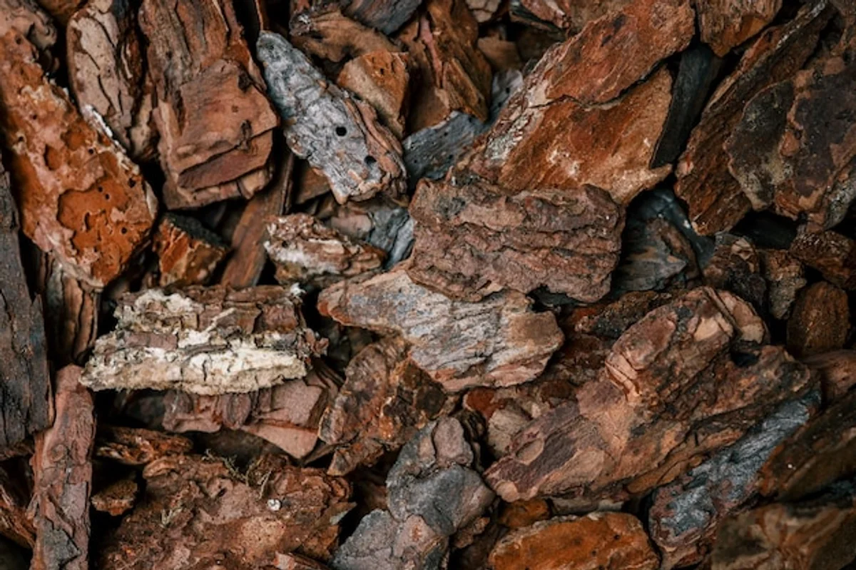close-up old oak bark compost gardening