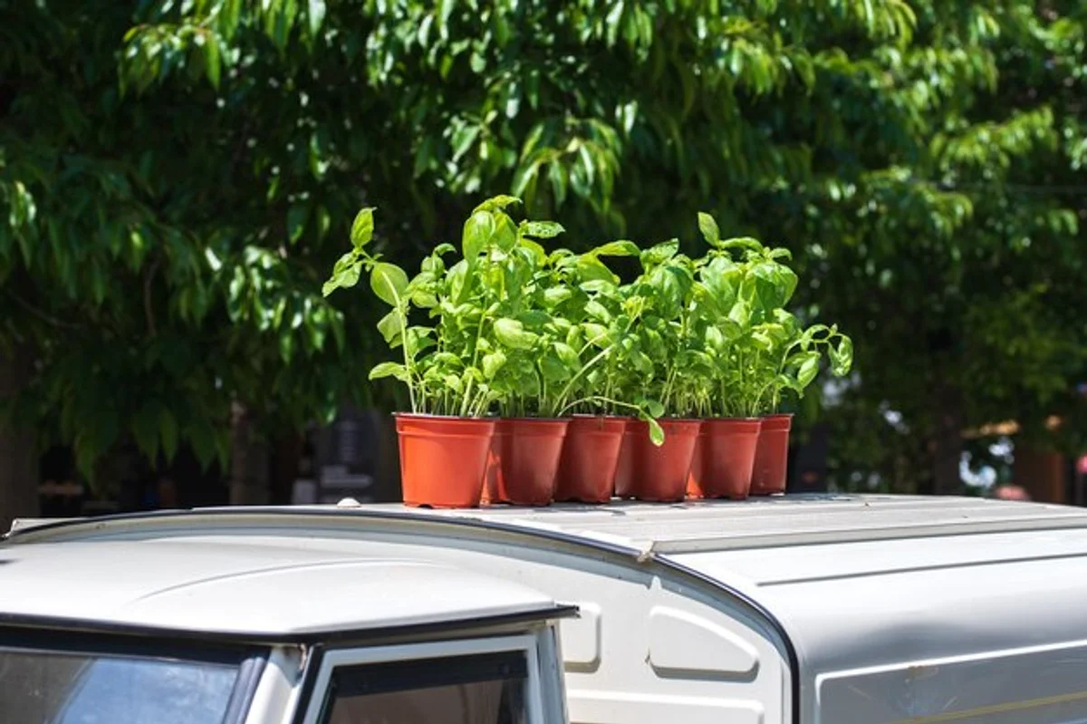 small portable greenhouse on balcony senior gardening