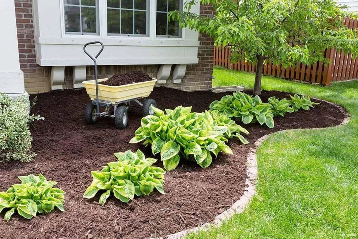 senioren gepflegter rasen entspannter garten