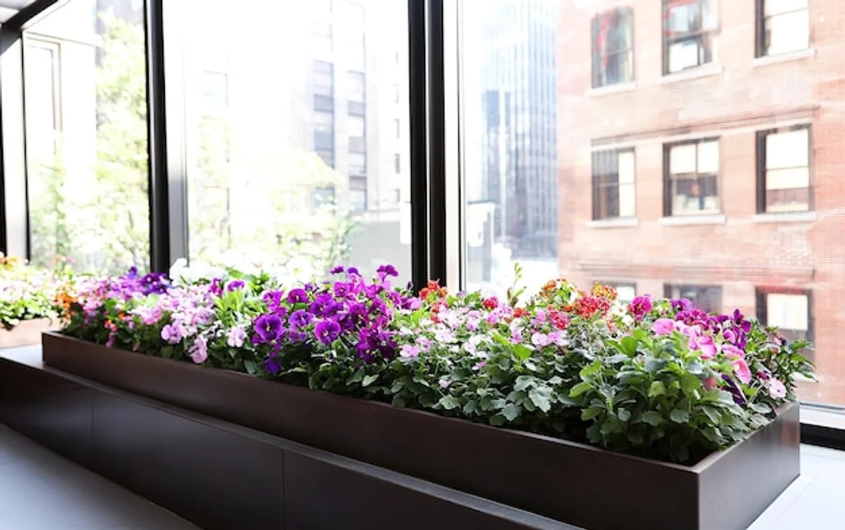 minimalist plant arrangements urban apartment
