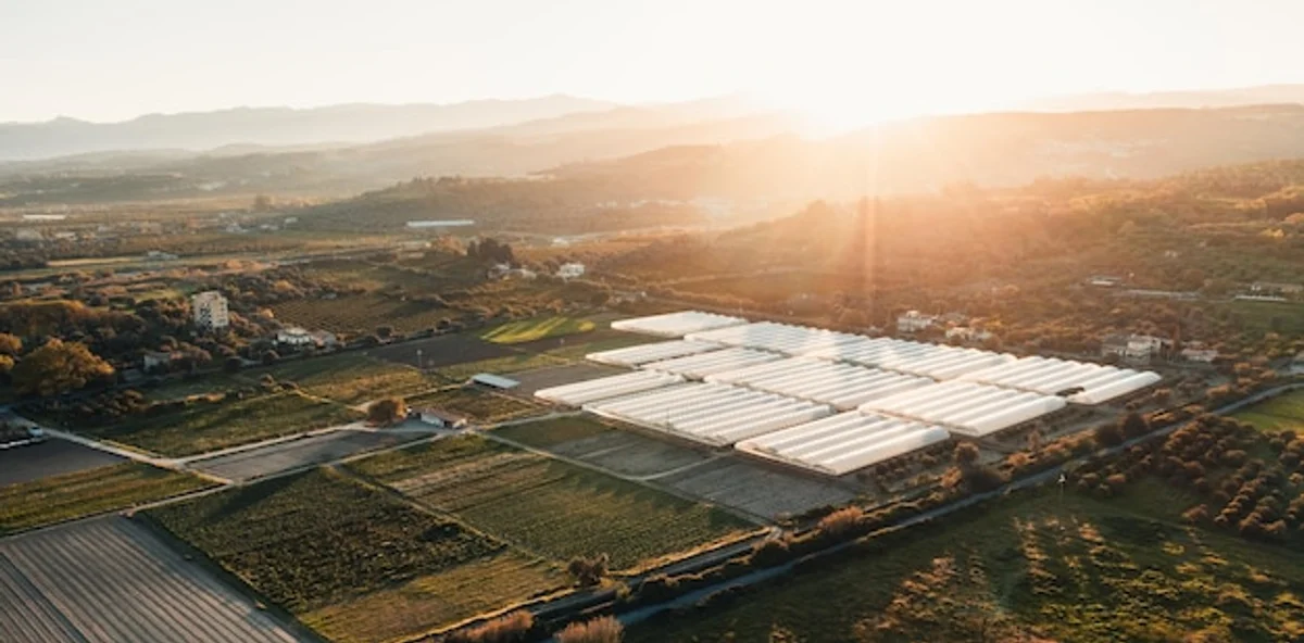 sunny greenhouse orientation aerial view