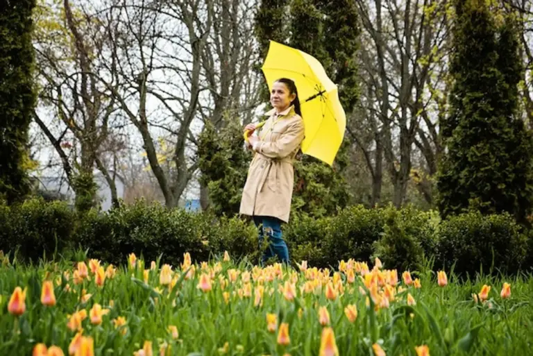 easy to care flowers elderly garden sunny