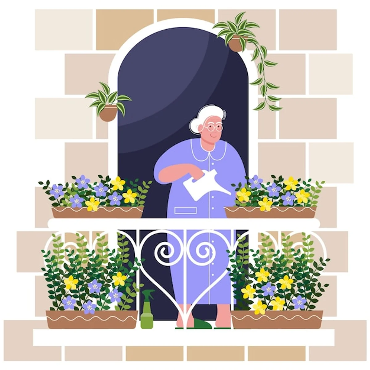colorful balcony flowers elderly woman watering