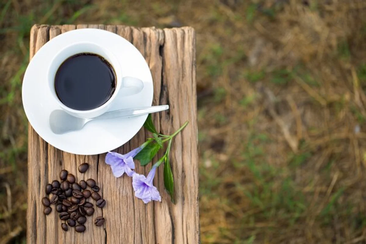 lavender and coffee grounds in garden