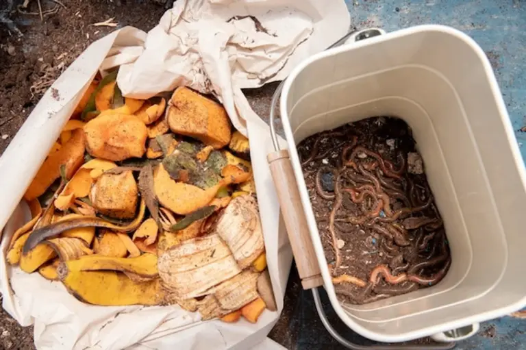 kitchen waste compost Germany eco garden