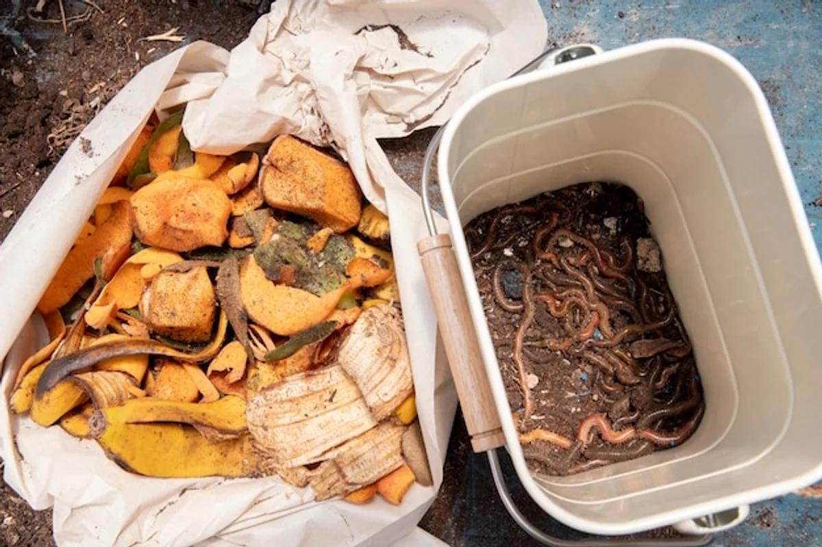 kitchen waste compost Germany eco garden