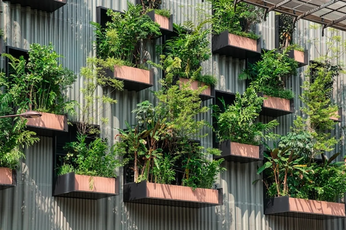 urban vertical vegetable garden on balcony