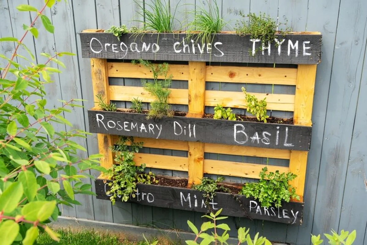 diy pallet vertical garden herbs vegetables germany