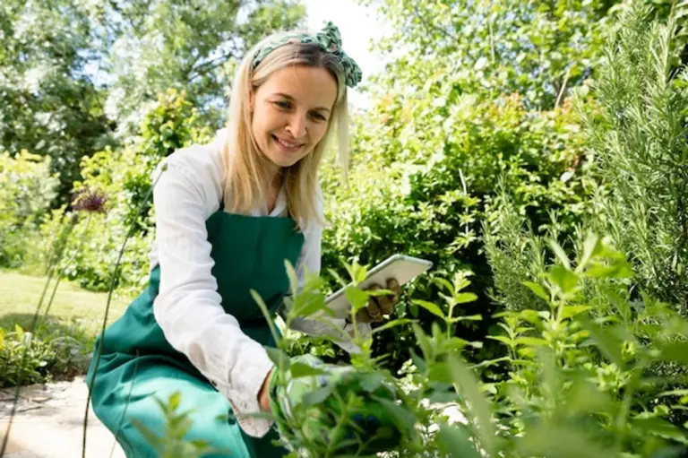 organic garden pest control home remedies